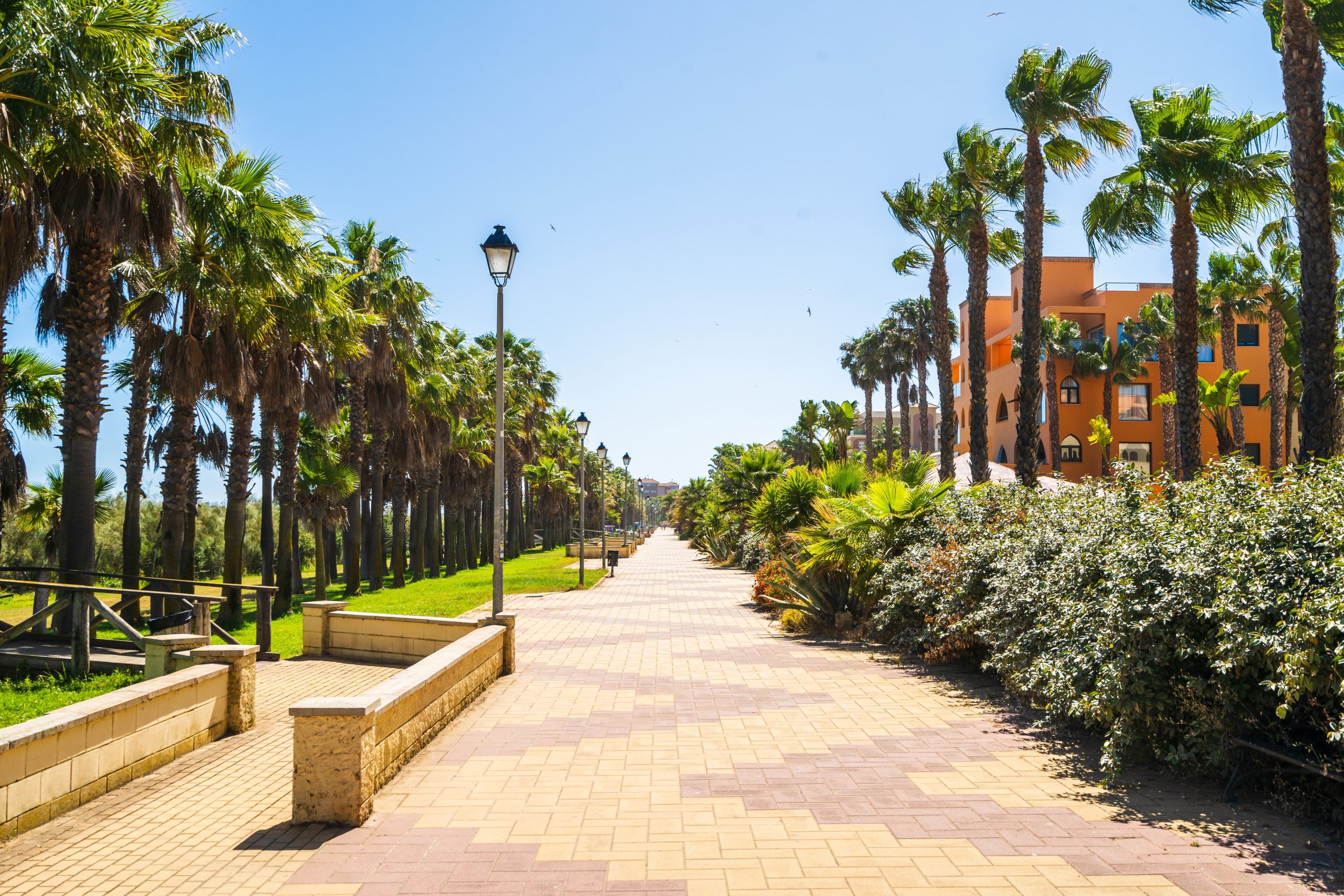 Seaside,Promenade,With,Palm,Trees,In,Isla,Canela,,Andalucia,,Spain